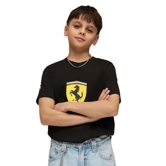 40770137
